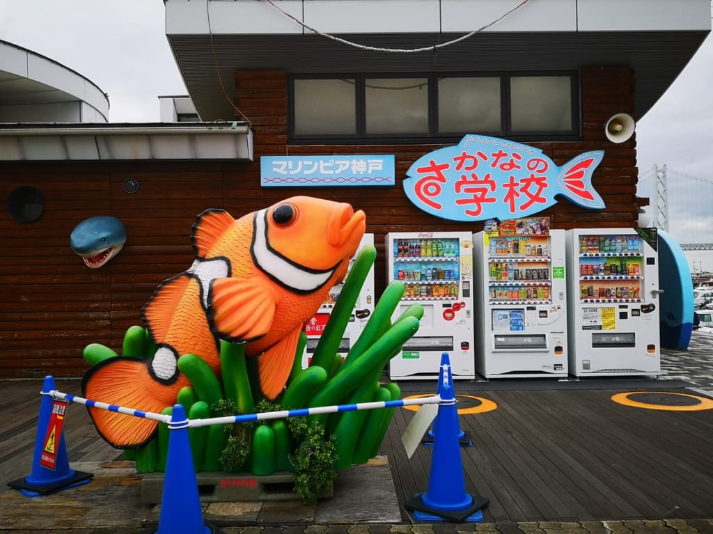 2022年さかなの学校