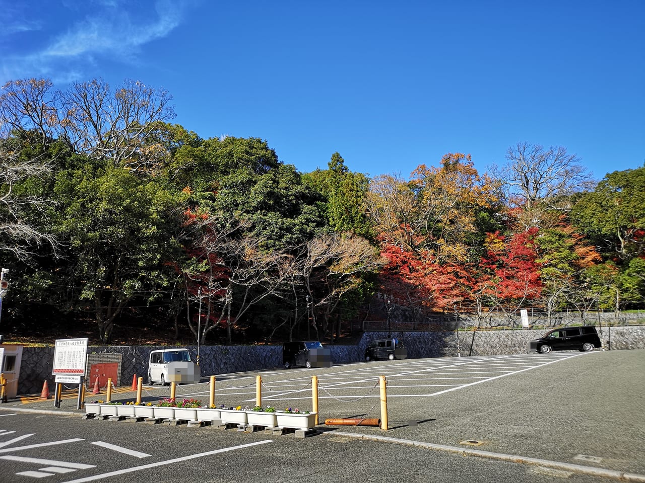 2022年多井畑厄除八幡宮