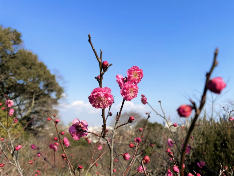 2023年須磨離宮公園