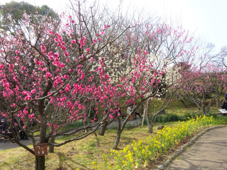 2023年須磨離宮公園