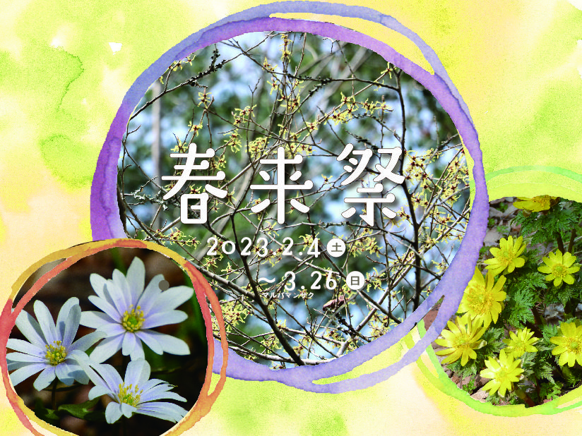 2023年神戸市立森林植物園