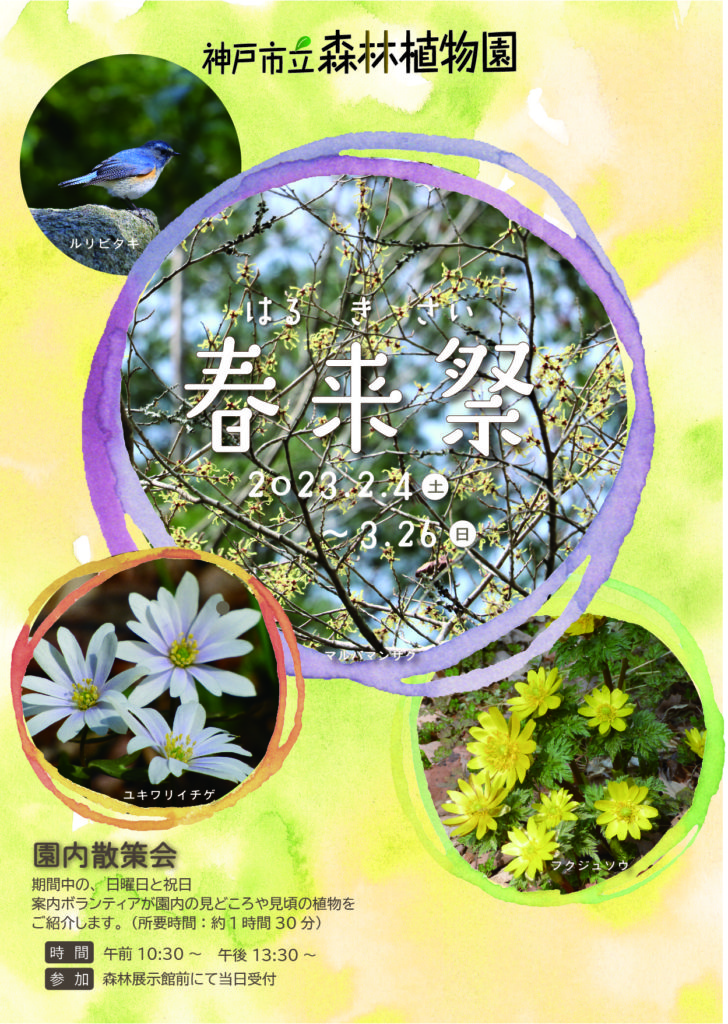 2023年神戸市立森林植物園