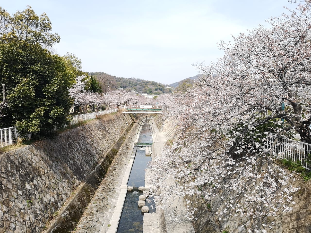 2023年妙法寺川公園