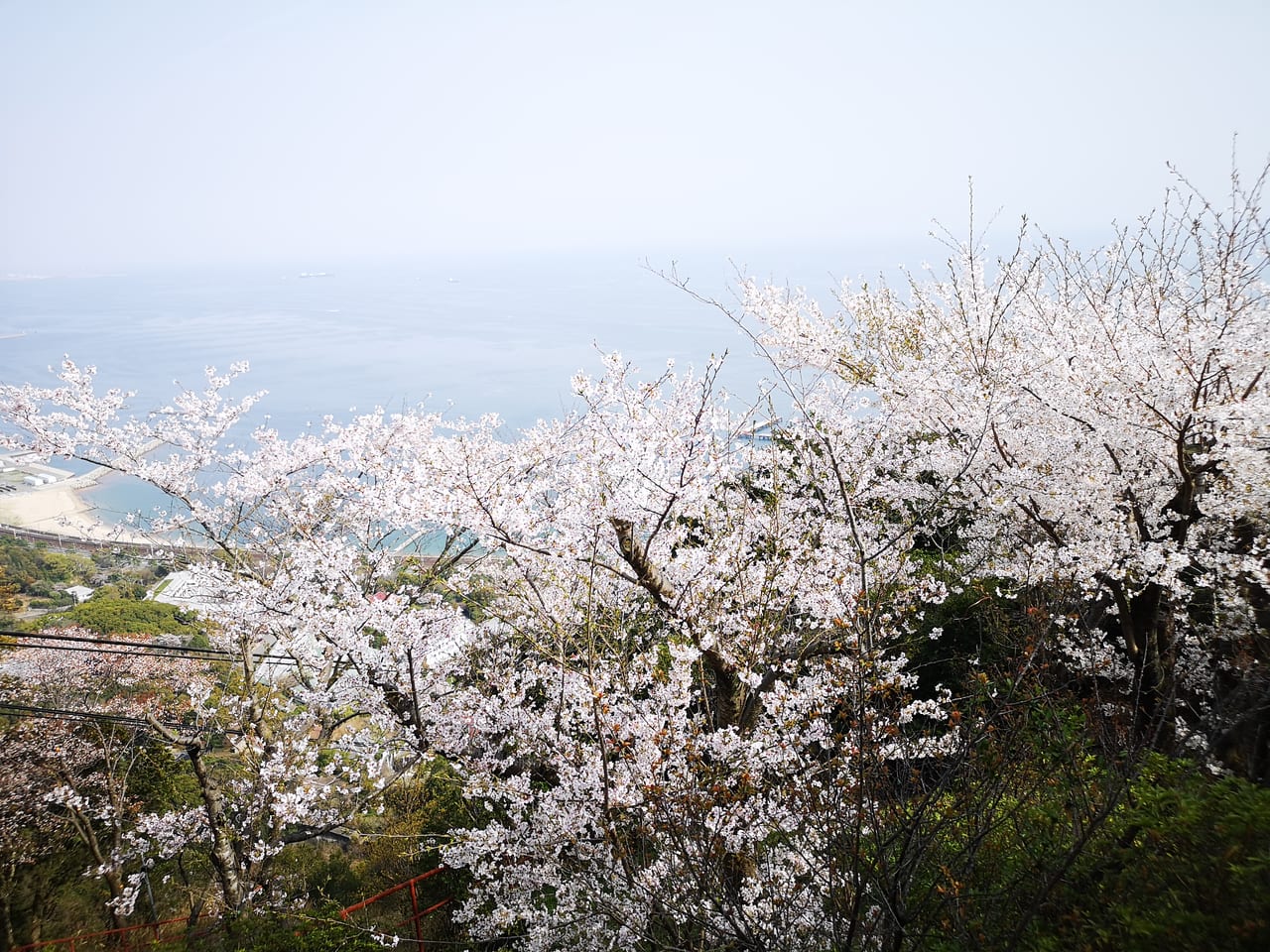 2023年須磨浦山上遊園