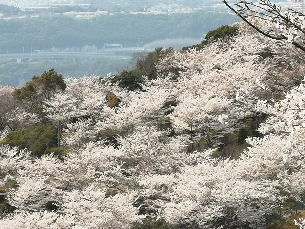 2023年須磨浦山上遊園