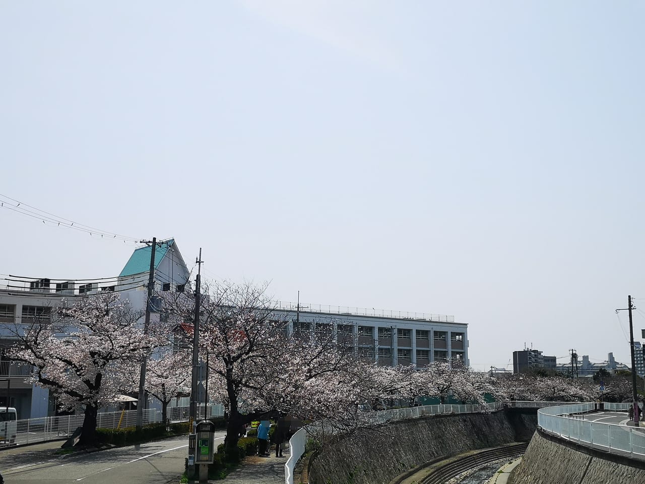 2023年妙法寺川公園