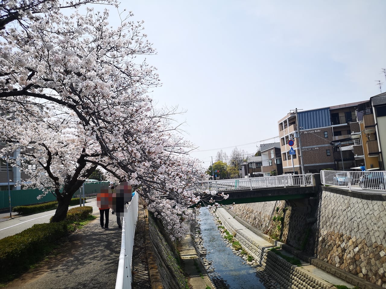 2023年妙法寺川公園