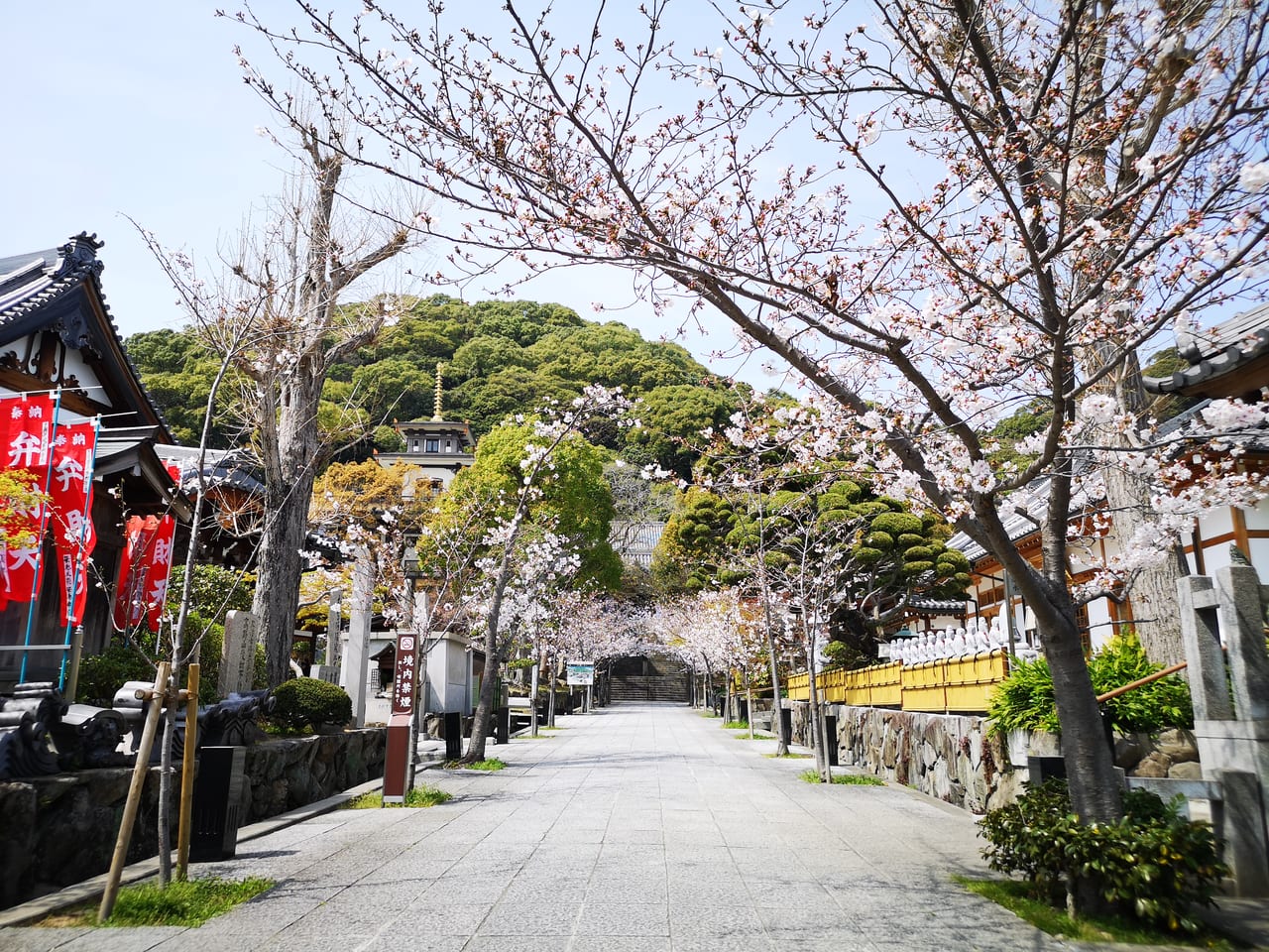 2023年須磨寺