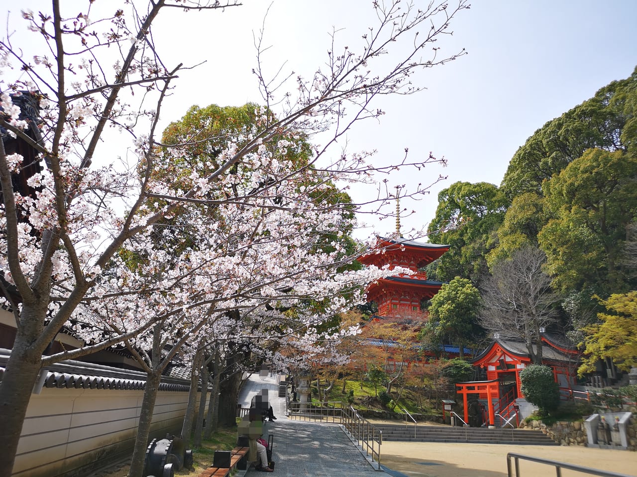 2023年須磨寺