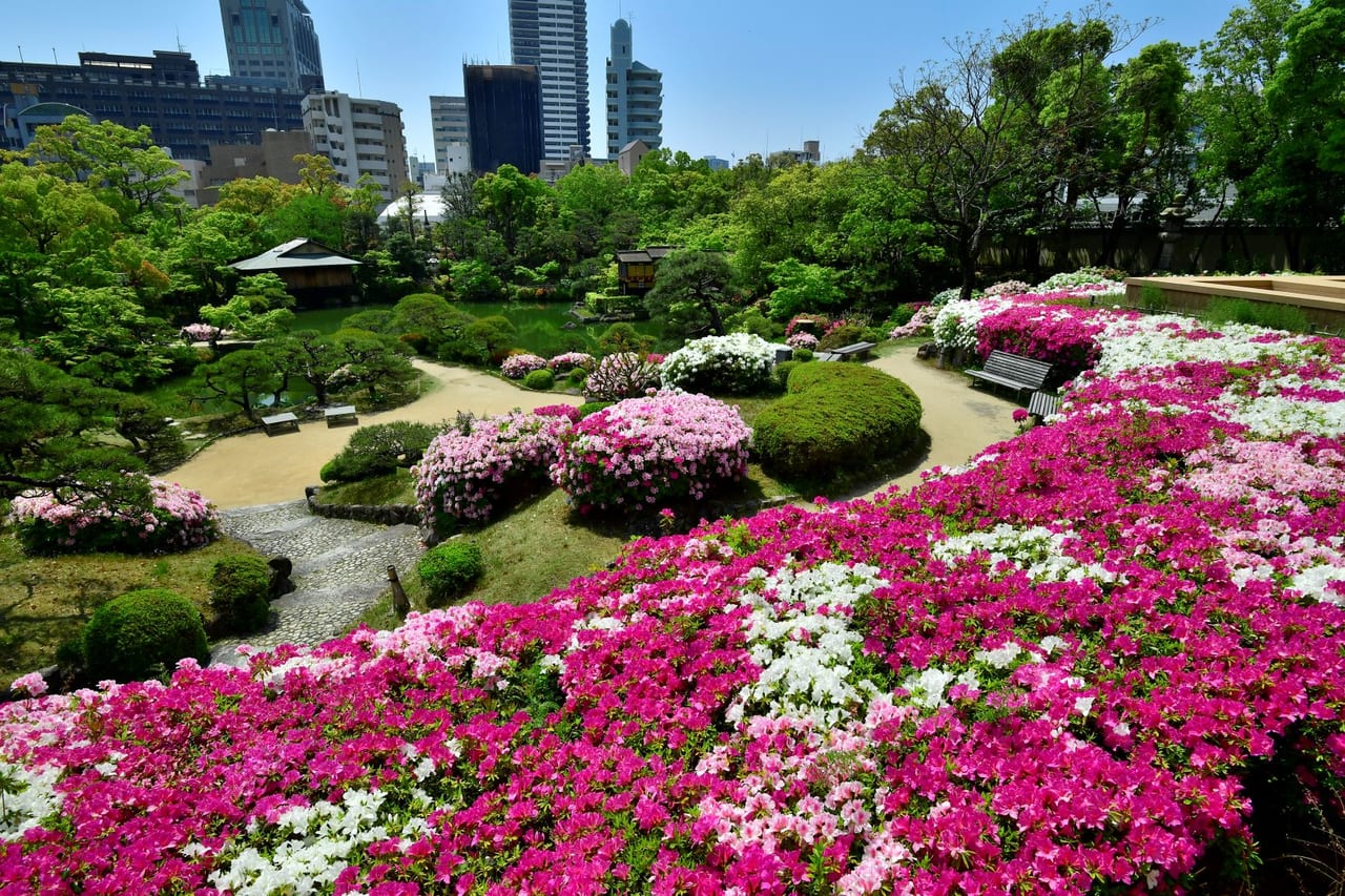 2023年相楽園