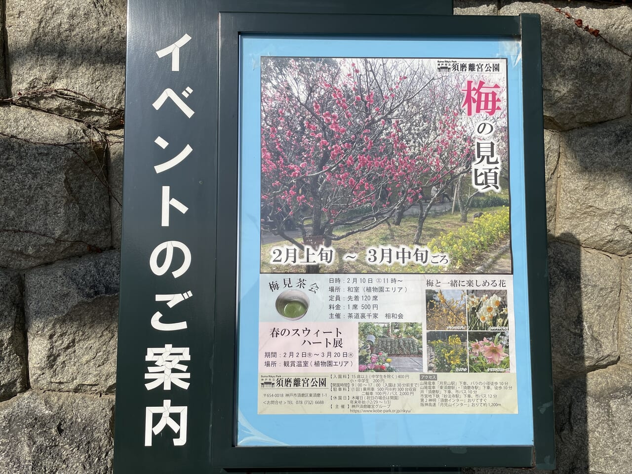 イベント案内
